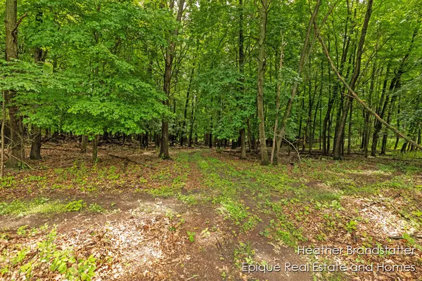 Grand Rapids, MI 49546,4323 Woodside Oaks SE Drive