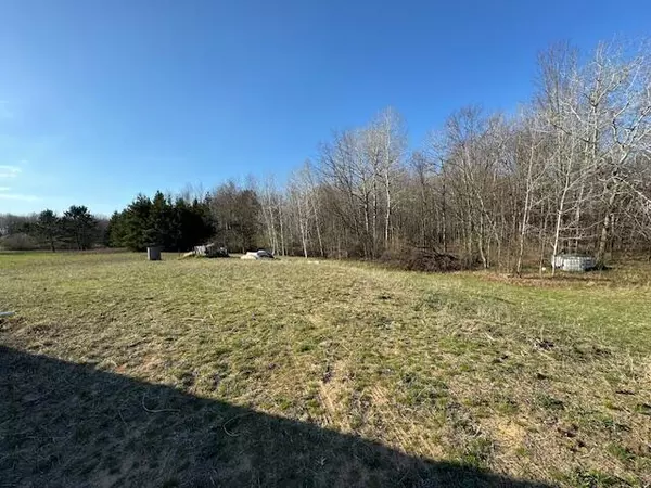 Free Soil, MI 49411,4556 E Freesoil Road