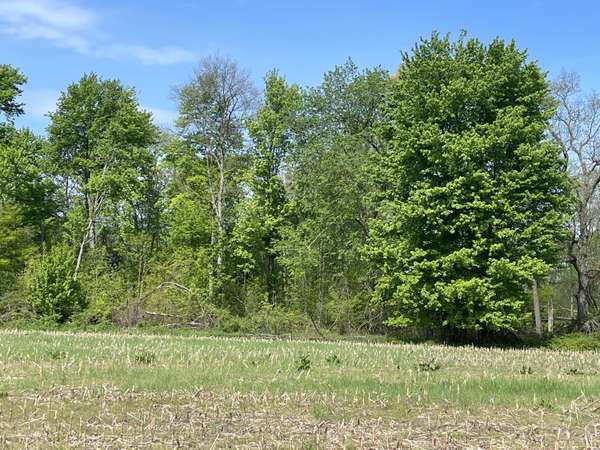 4514 22 Mile NE Road #Parcel 1, Sand Lake, MI 49343