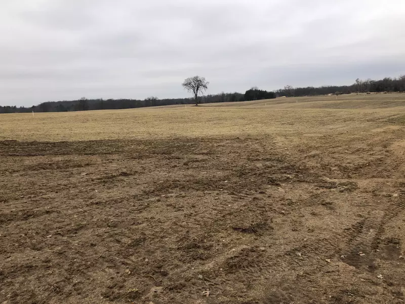 lot 6 Whites Bridge Road, Belding, MI 48809