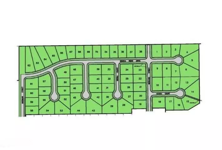 Middleville, MI 49333,711 Hawthorn #Lot 53