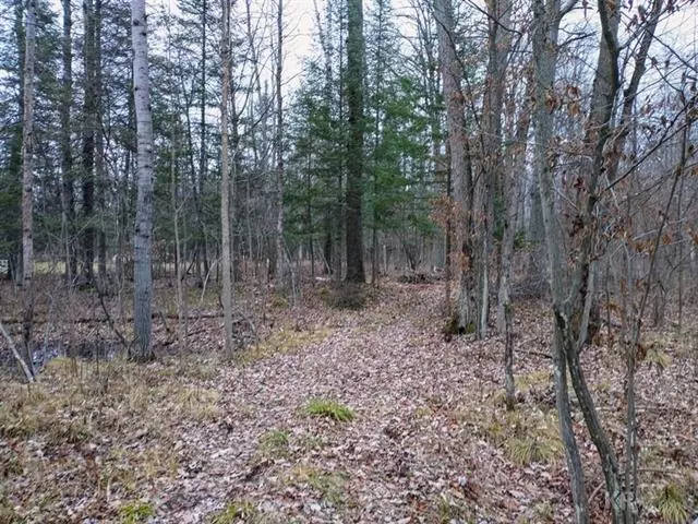 9 Acres Andys Lane, Beaverton, MI 48612