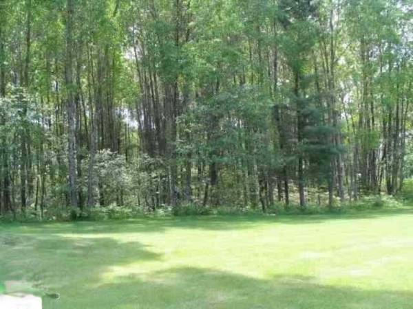 Cadillac, MI 49601,0 White Pine Drive #lot 63