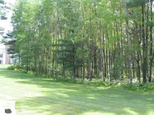 0 White Pine Drive #lot 63,  Cadillac,  MI 49601