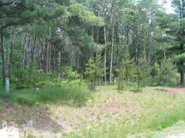 Cadillac, MI 49601,0 White Pine Drive #lot 63