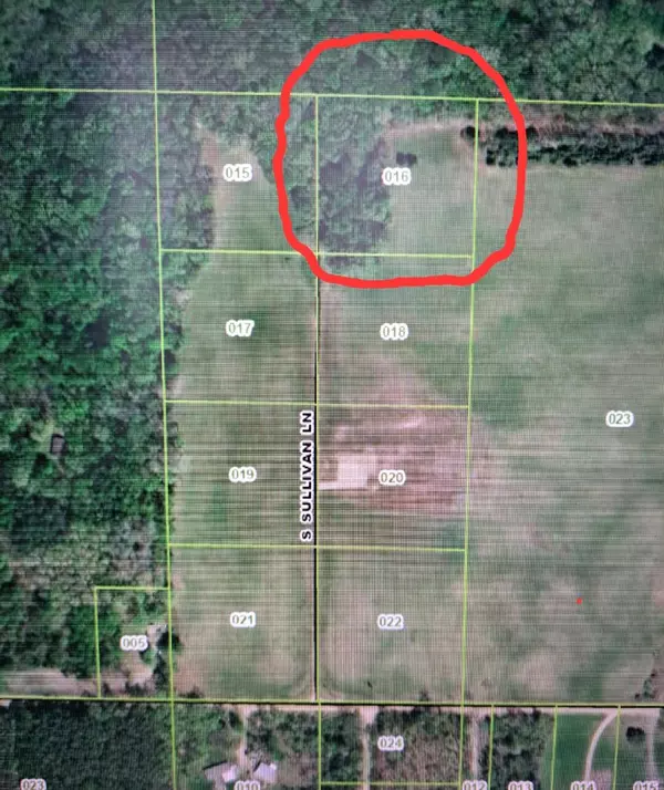 Lot 16 S Sullivan Lane,  Croton,  MI 49337