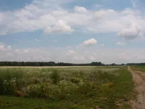 Kent City, MI 49330,2150 17 Mile Road