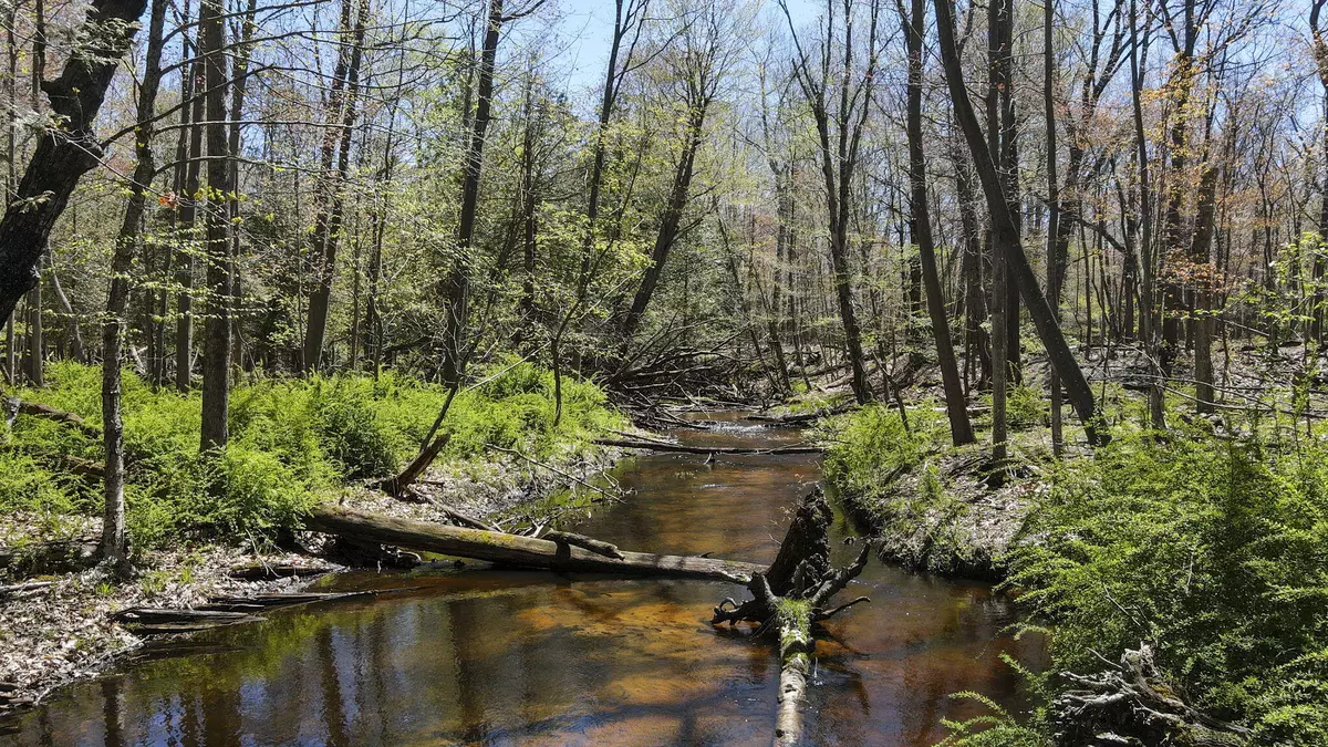 Manistee, MI 49660,4395 Windward Forest Trail