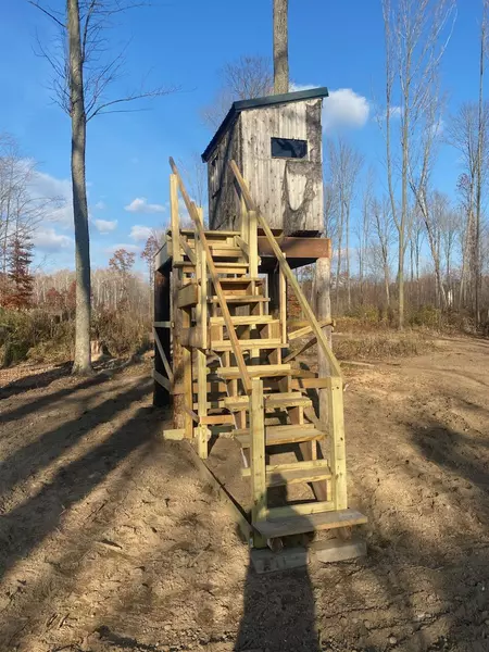 N Sherman Road, Lake, MI 48632