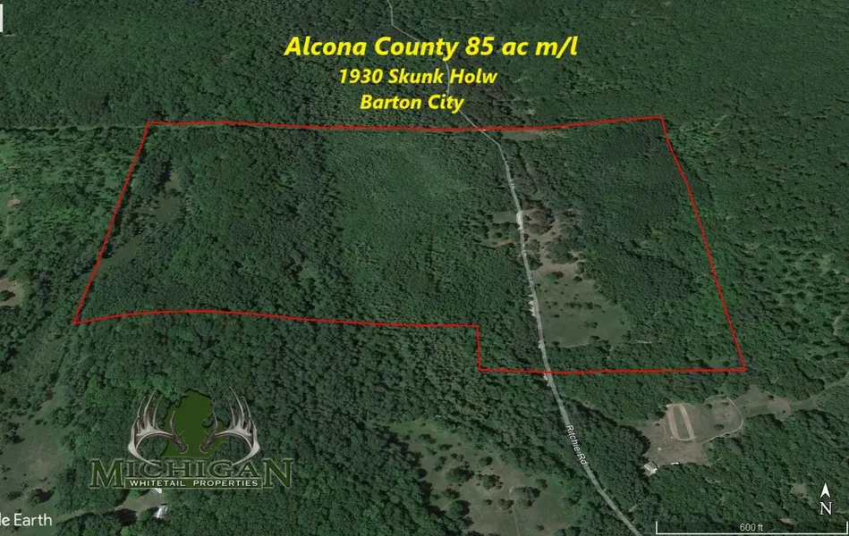 1930 Skunk Holw, Barton City, MI 48705