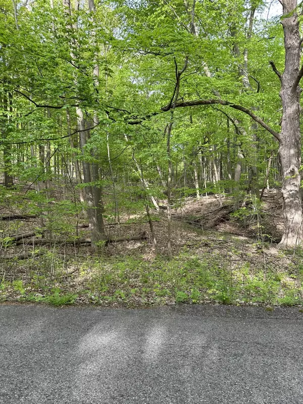 Belmont, MI 49306,3142 Roguewood NE Drive