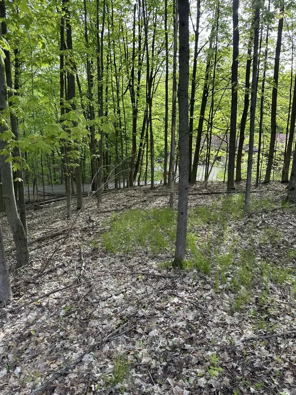 Belmont, MI 49306,3142 Roguewood NE Drive