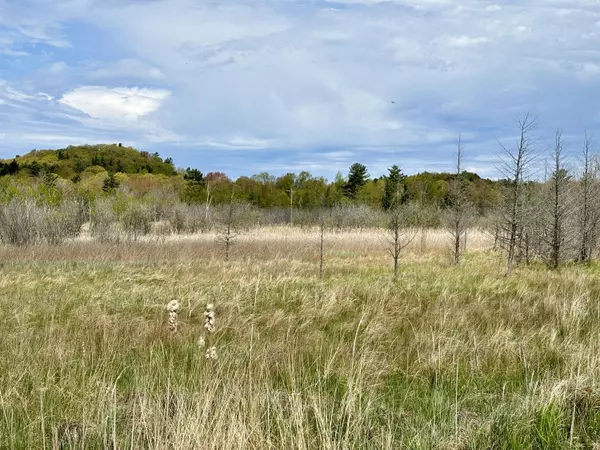 Onekama, MI 49675,0000 Seymour