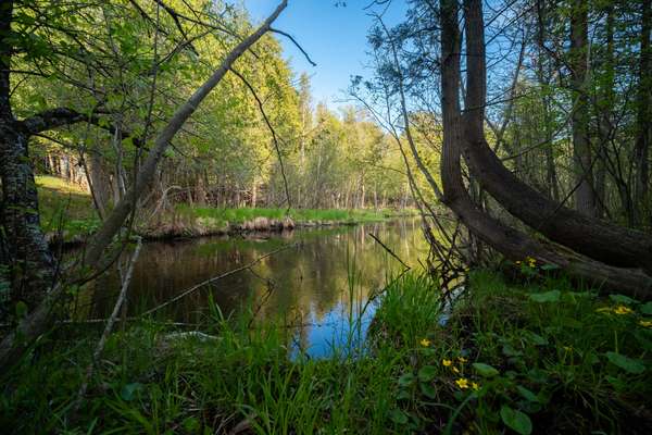 Bear Lake, MI 49614,Chief Road