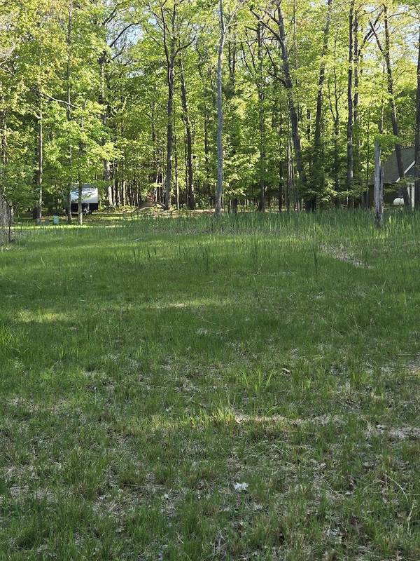 Lot 4, 5, 16 RIDGE ROAD,  Mears,  MI 49436