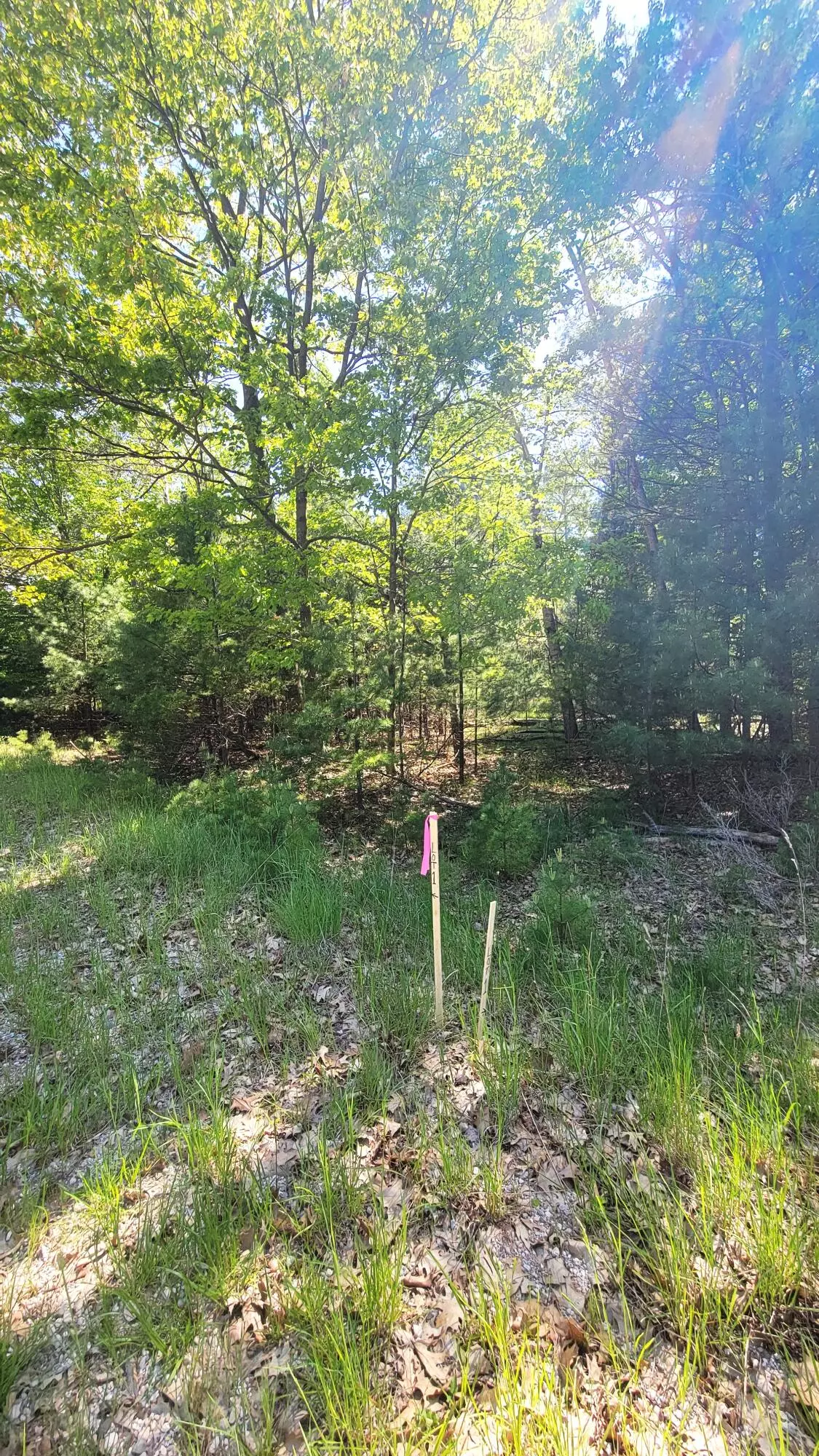 Onekama, MI 49675,Ivanhoe #Lot 1