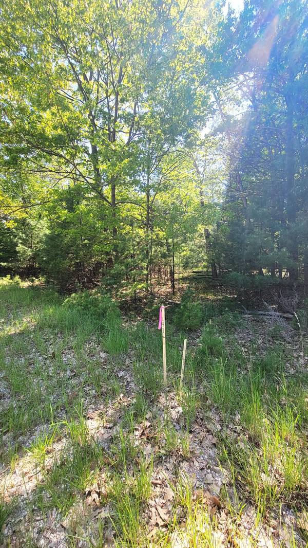 Ivanhoe #Lot 1, Onekama, MI 49675