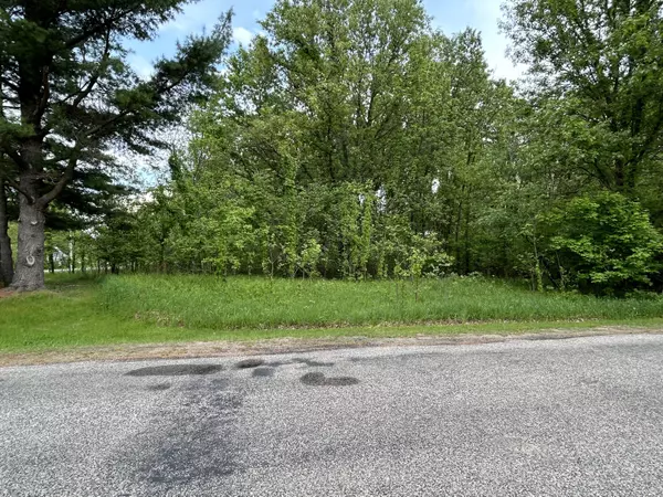 Three Rivers, MI 49093,Pine Tree Lane #Lot 29