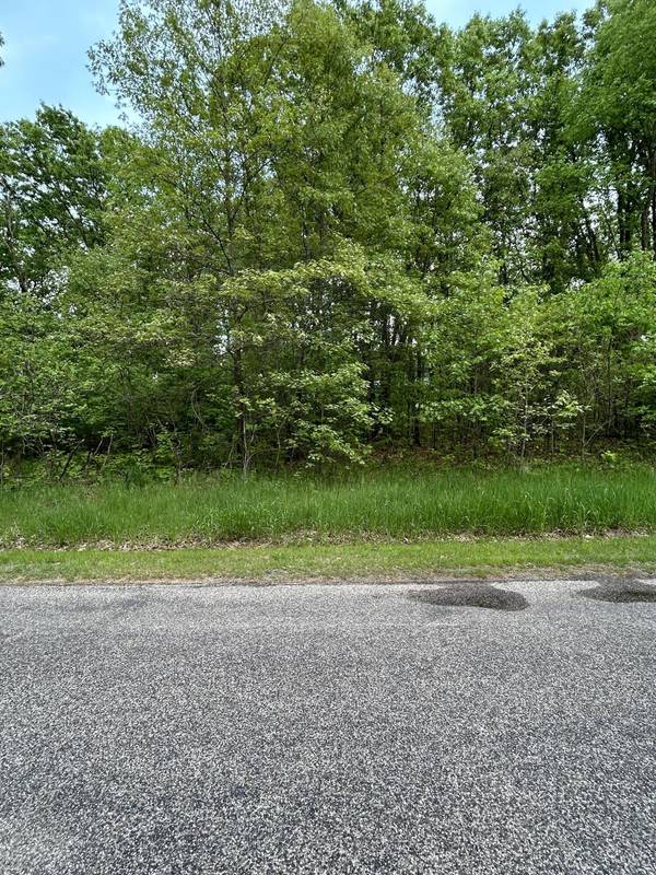 Three Rivers, MI 49093,Pine Tree Lane #Lot 29