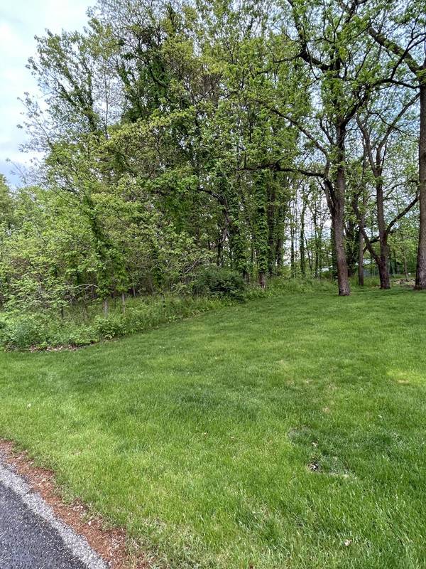 Three Rivers, MI 49093,Pine Tree Lane #Lot 28