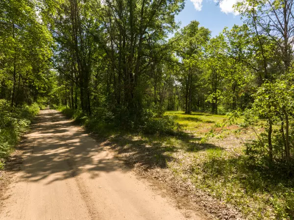 White Cloud, MI 49349,V/L East 3 Mile Road