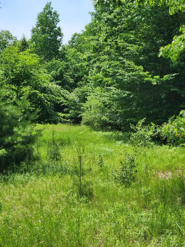 Onekama, MI 49675,64 Opal Ridge Drive