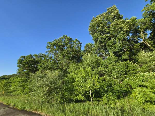 Lot 12 Embassy Road, Edwardsburg, MI 49112