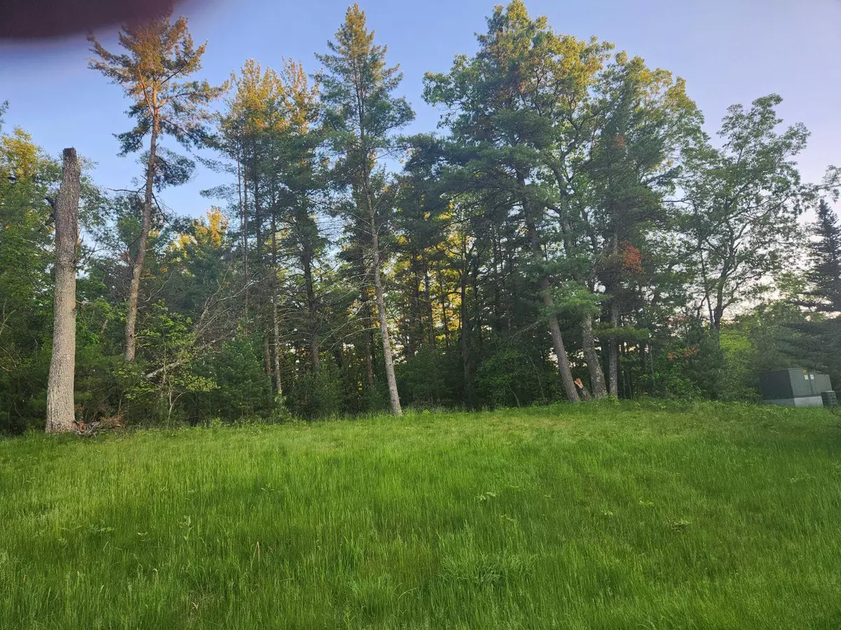 Whitehall, MI 49461,1375 Estate Street #Lot 1