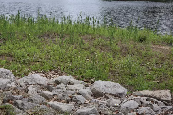 Gladwin, MI 48624,3622 Pinelands Road