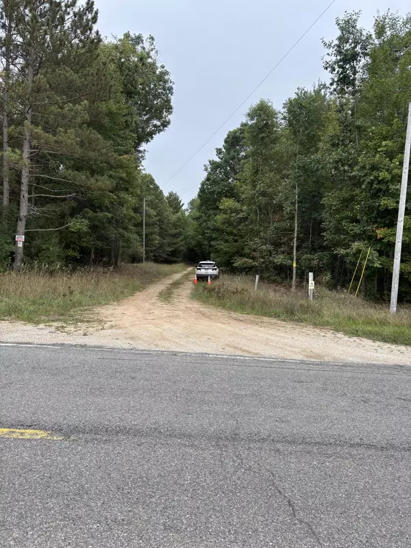 Free Soil, MI 49411,E Freesoil Road #40 acres