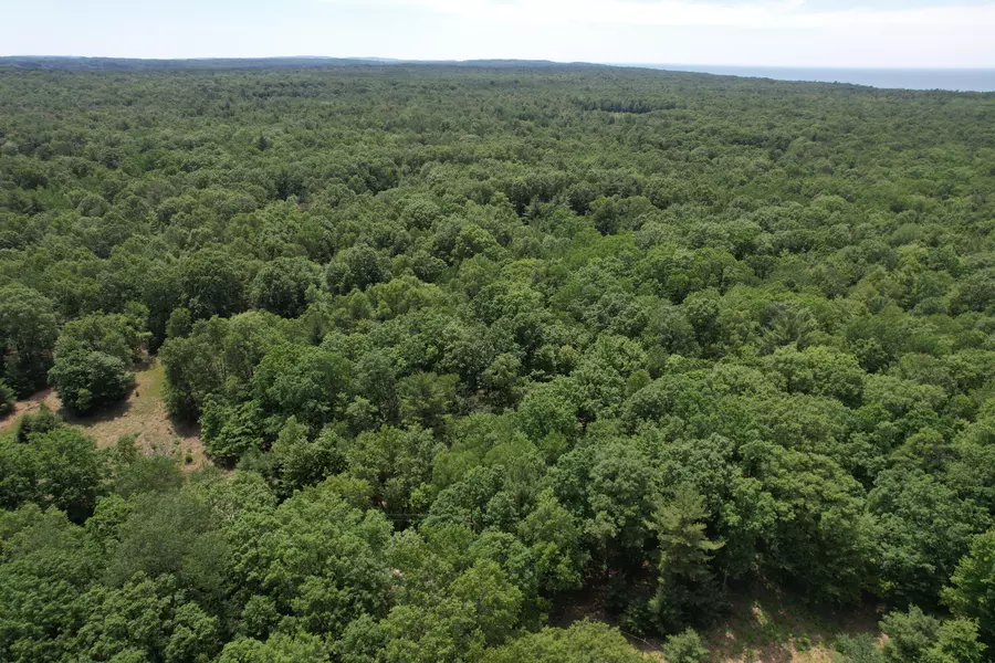 40 ACRE W Jackson Road, Pentwater, MI 49449