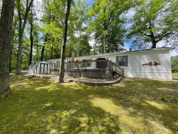 4692 N Meadow Lane, Irons, MI 49644