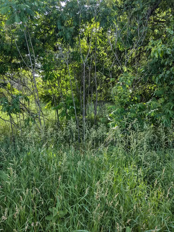 Ceresco, MI 49033,547 N Main Street