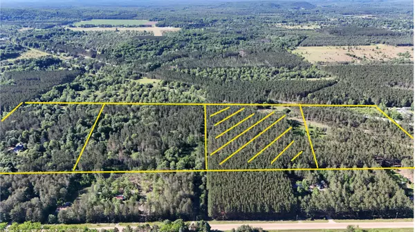 Thompsonville, MI 49683,Parcel C VONDRA