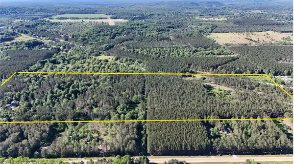 Thompsonville, MI 49683,Parcel D VONDRA