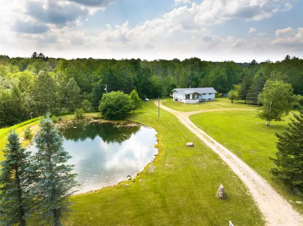 3183 Townline Road, Rose City, MI 48654