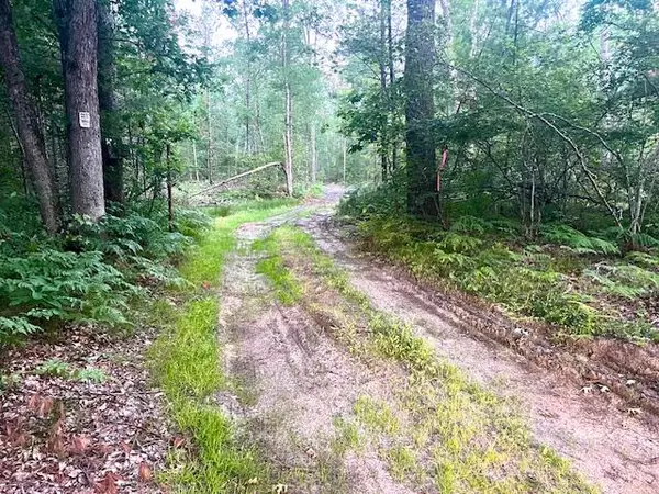 0 Skeels Road, Montague, MI 49437