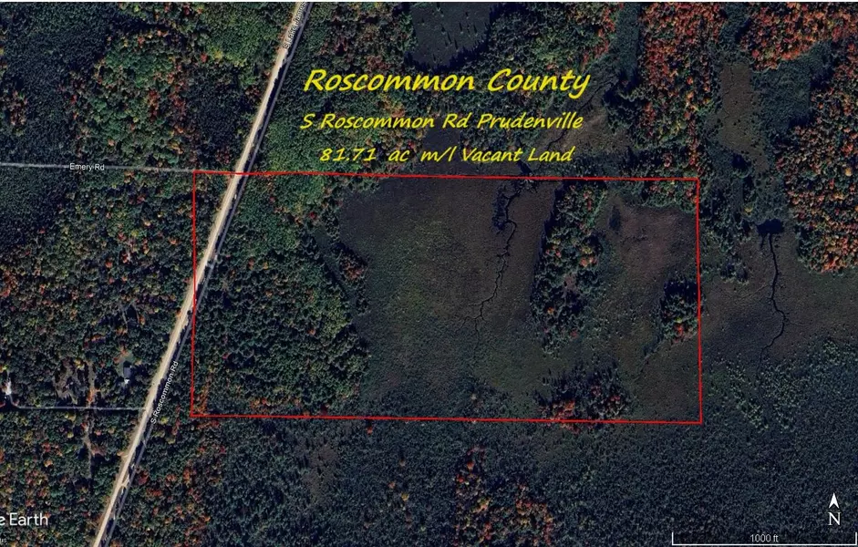 0 VL S Roscommon Rd, Prudenville, MI 48651