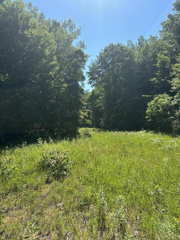 White Cloud, MI 49349,TBD Felch  and  W Country Trail