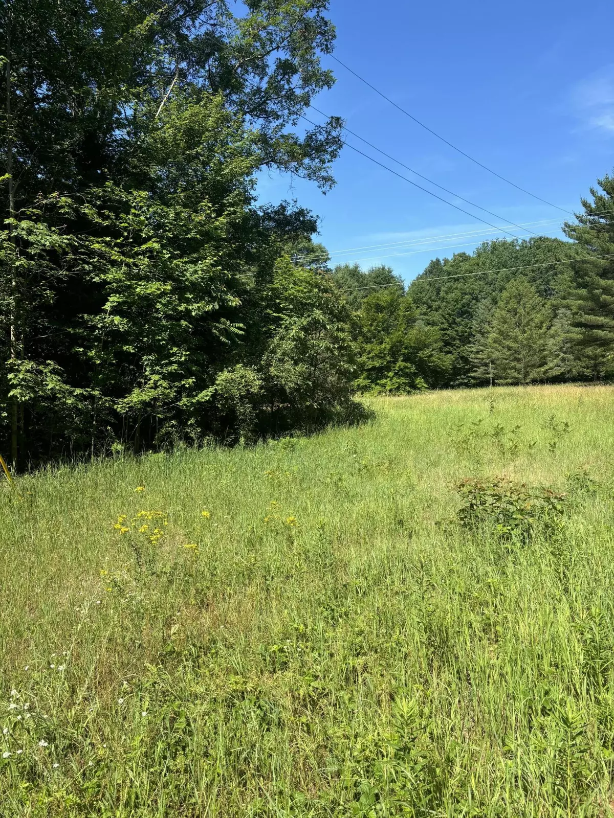 White Cloud, MI 49349,TBD Felch  and  W Country Trail