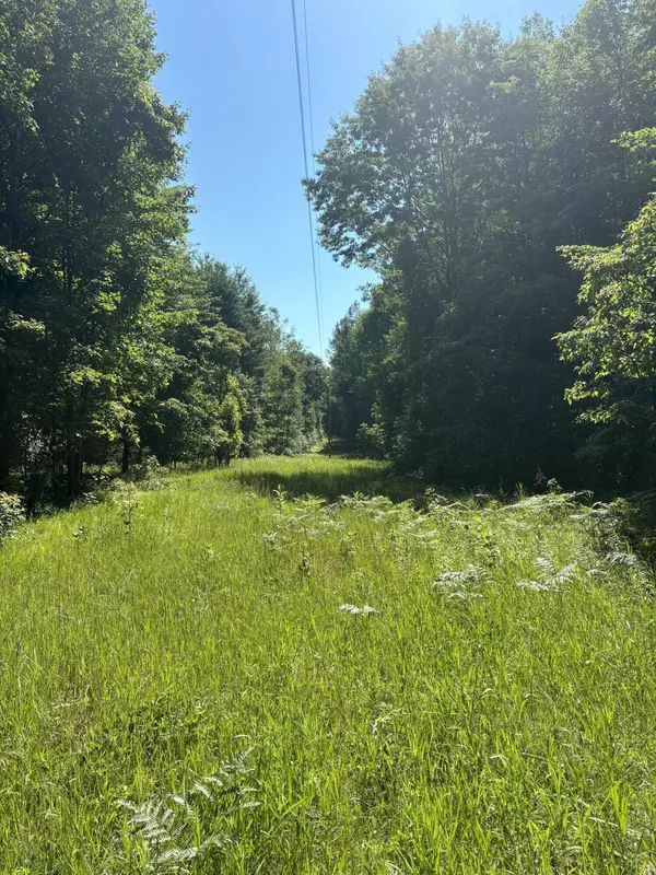 White Cloud, MI 49349,TBD Felch  and  W Country Trail