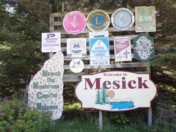 Mesick, MI 49668,N 9 Road