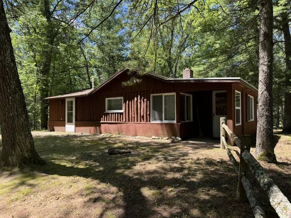 8871 W River Road, Irons, MI 49644