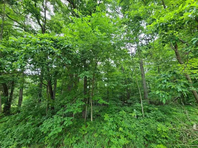 8401 9 mile Road, Big Rapids, MI 49307