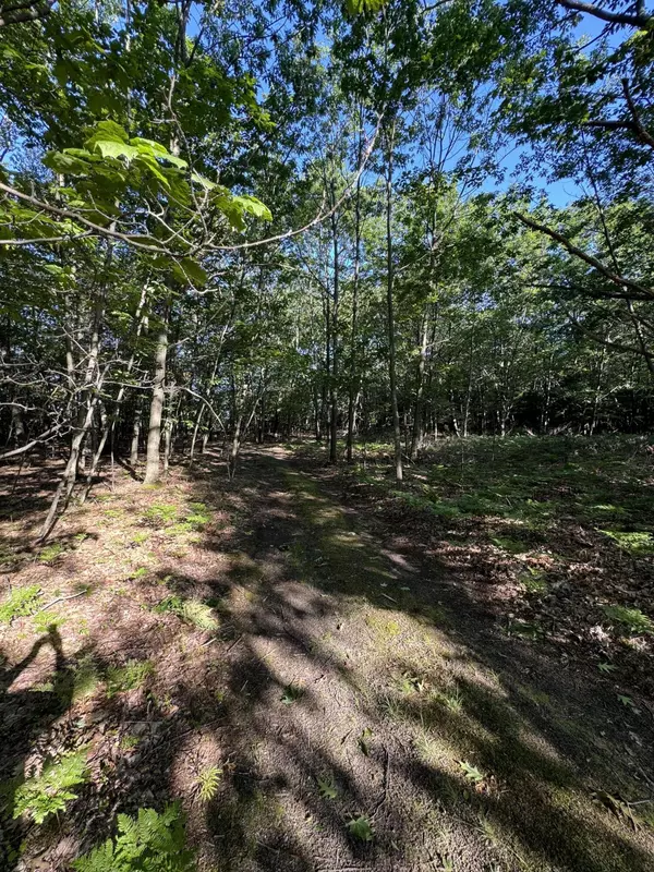 Beaver Island, MI 49782,Buff Malloy Road #Lot 11