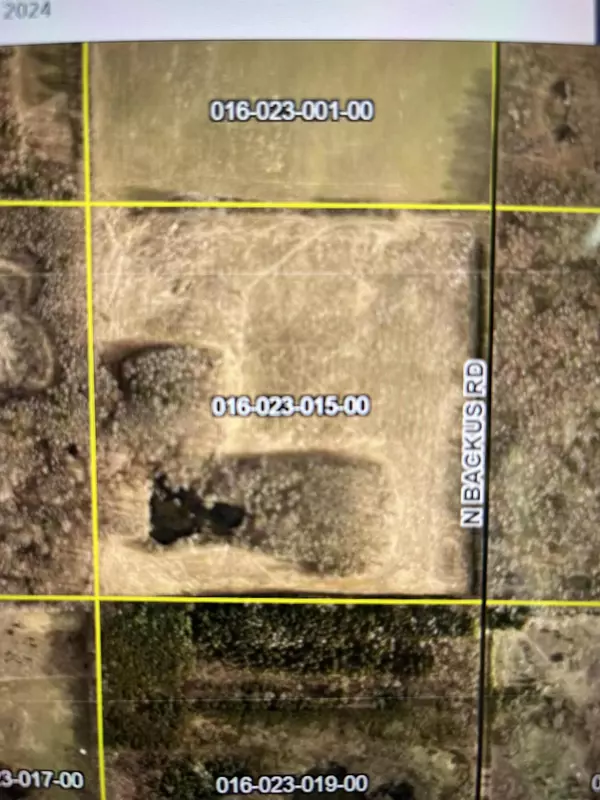 Lakeview, MI 48850,PAR A Backus NW Road