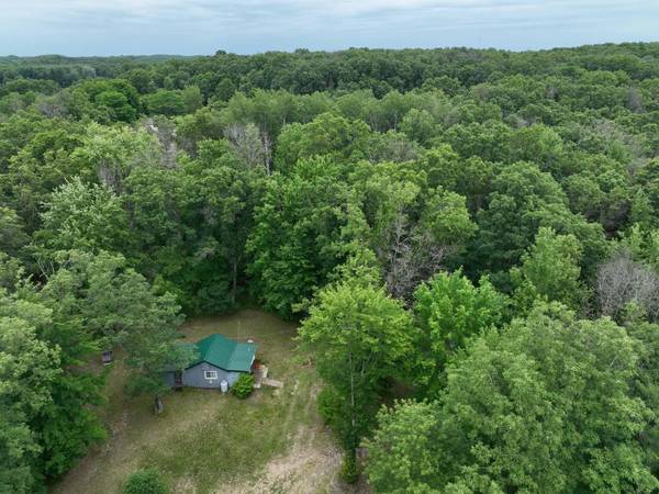 1198 N Bingham Avenue, White Cloud, MI 49349