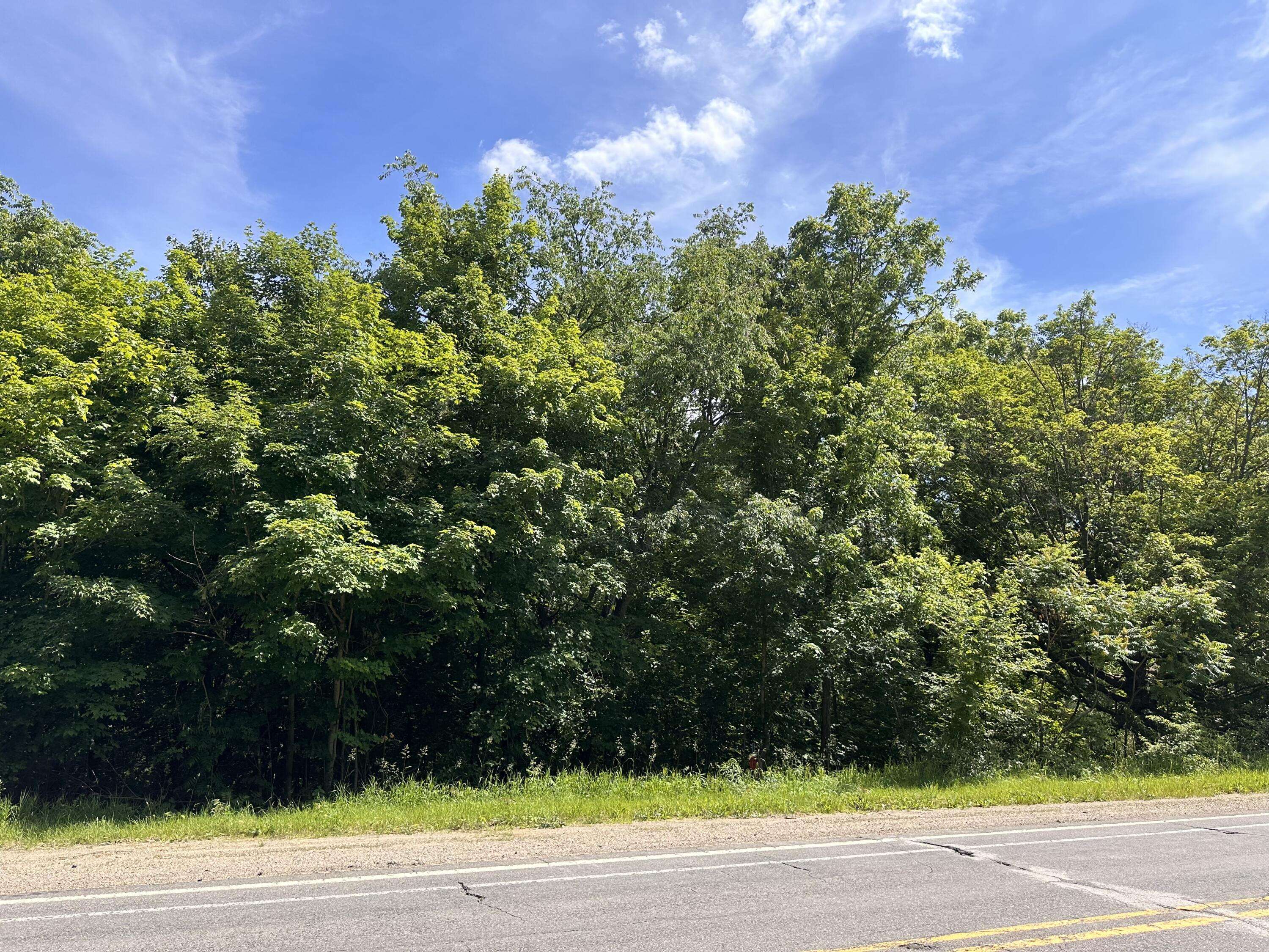 VL Ann Arbor Road, Grass Lake, MI 49240