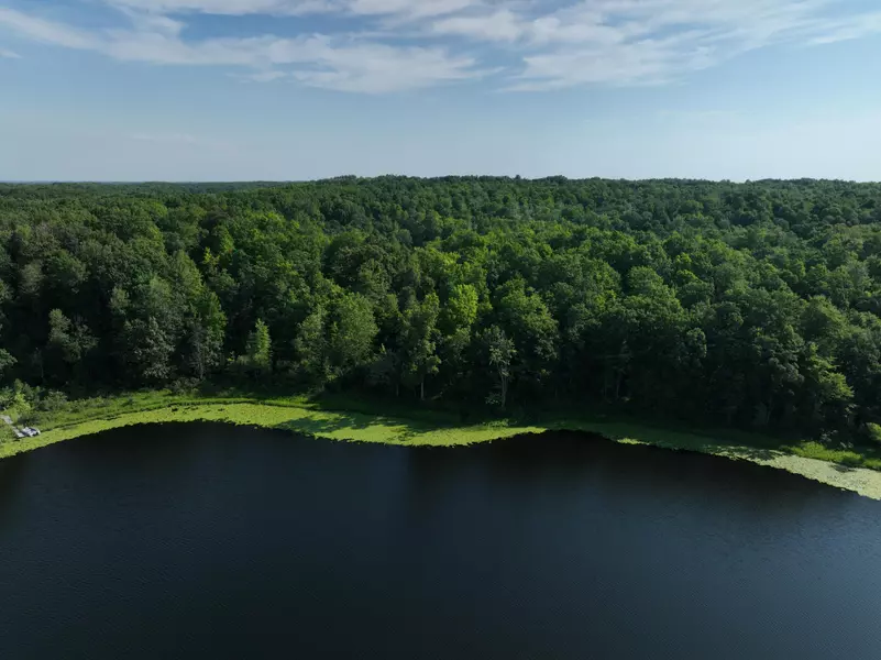 6715 Hart Lake Road, Otter Lake, MI 48464