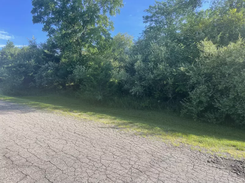 Lot 13 Liberty Woods, Clark Lake, MI 49234